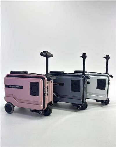 Custodia per guida elettrica da seduto-alimentata