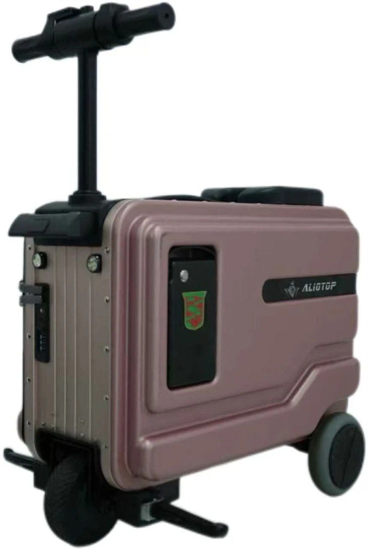 Versatile Gender-Neutral Rideable Electric Luggage